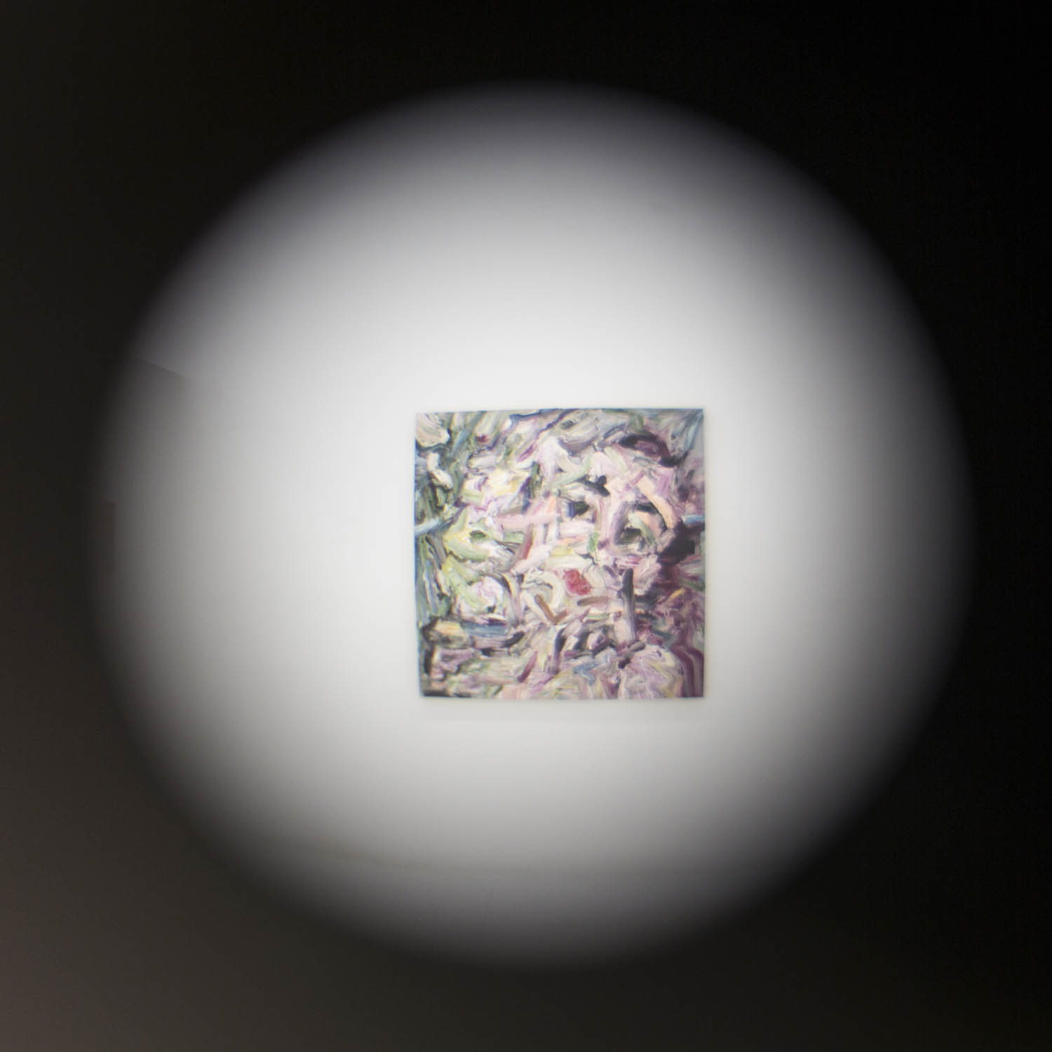 VP Install Night Gaze viewed through peephole.jpg